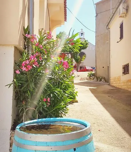 Διαμέρισμα Gospoja Park & *